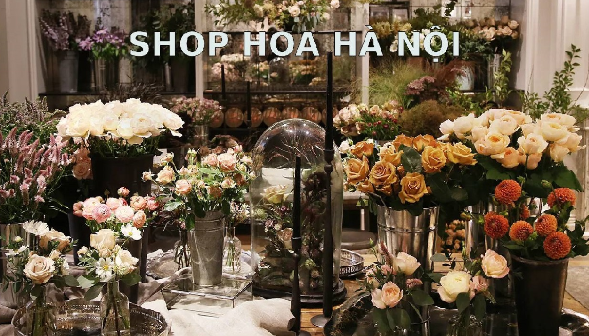 Hình ảnh cửa hàng